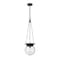 Z-Lite Calhoun Pendant, 1-Light, 9 In.W x 10.75 In.H, Matte black/Clear seedy 7506P9-MB - alternate 7